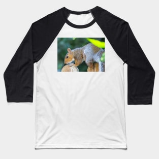 Squirrel on the fence Baseball T-Shirt